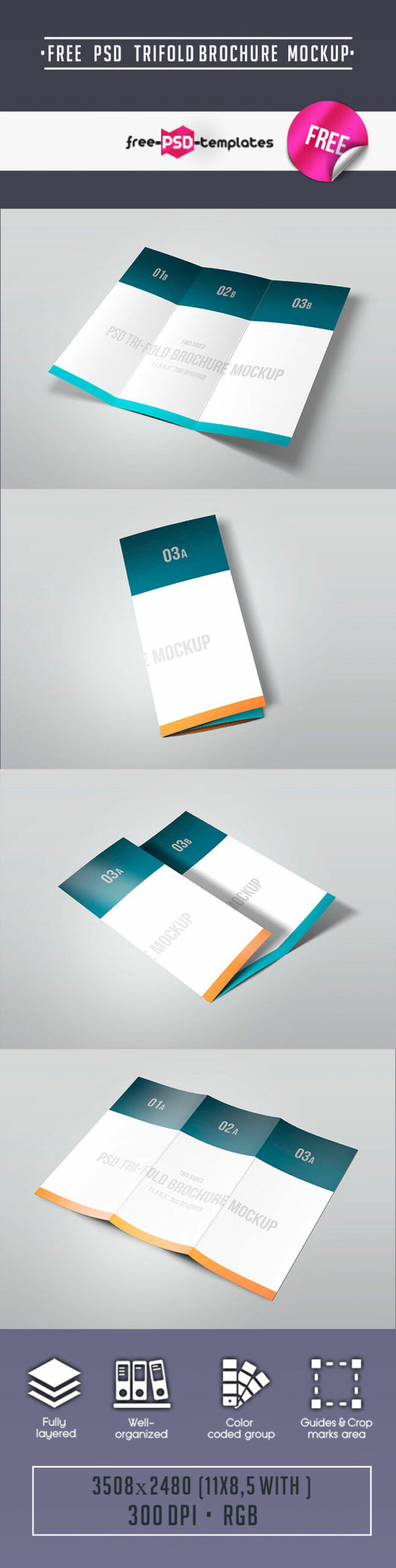 Free Tri-Fold Mockup Psd Template