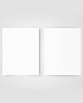 Free Us Letter Flyer Mockup