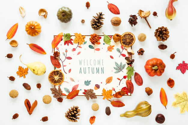 Free White Mock-Up Card Surrounded By Leaves Psd